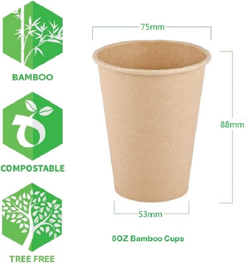 Vasos de papel de fibra de bam - Bamboo Cutlery Travel reseña y precio